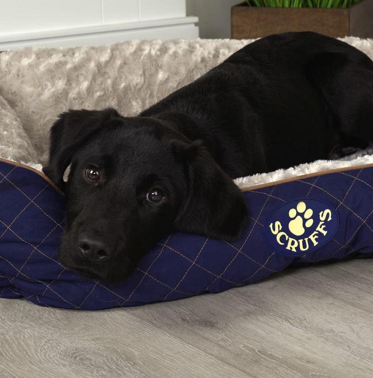 Scruffs Wilton Box Bed For Dogs Blue