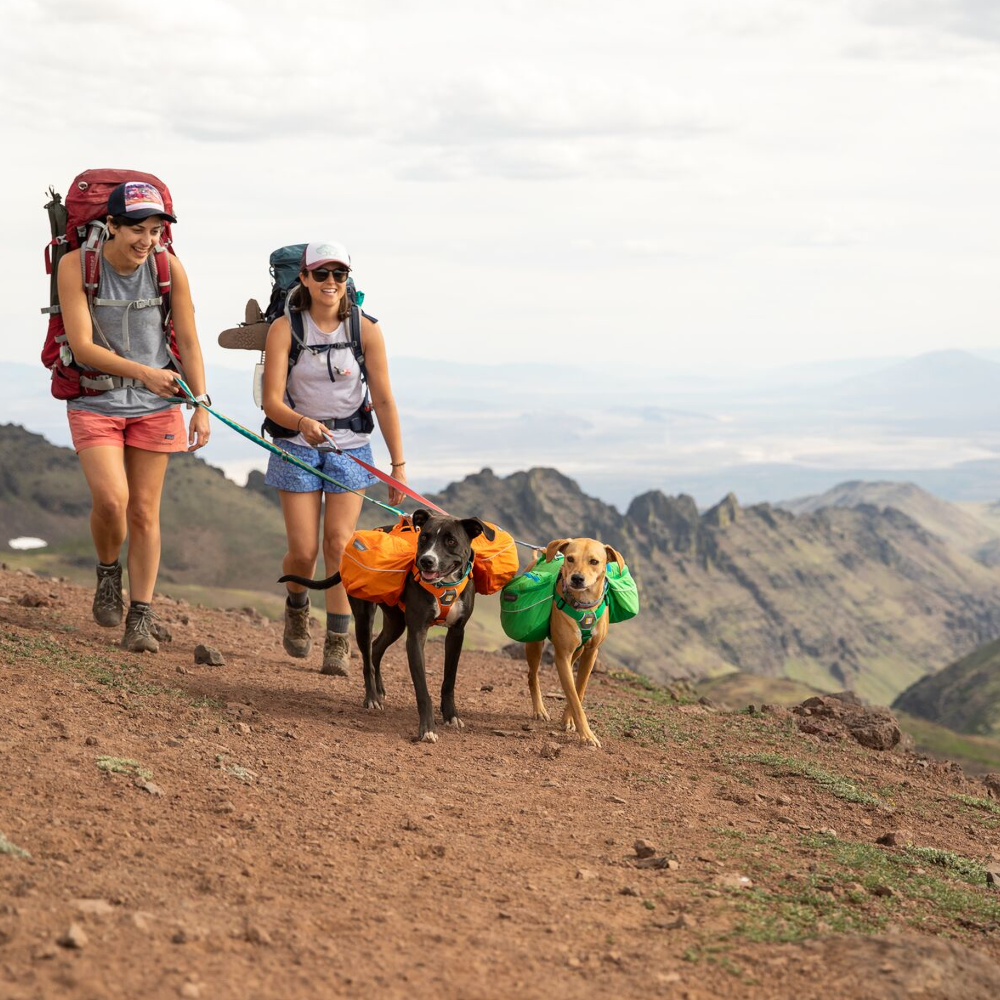 Ruffwear Crag Dog Leash  -  For Hiking