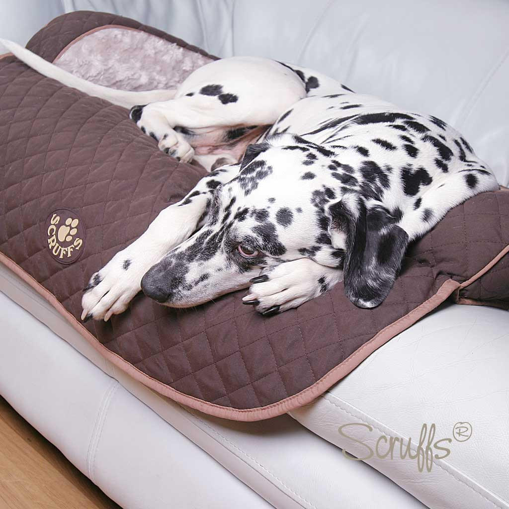Scruffs Wilton Sofa Bed For Dogs