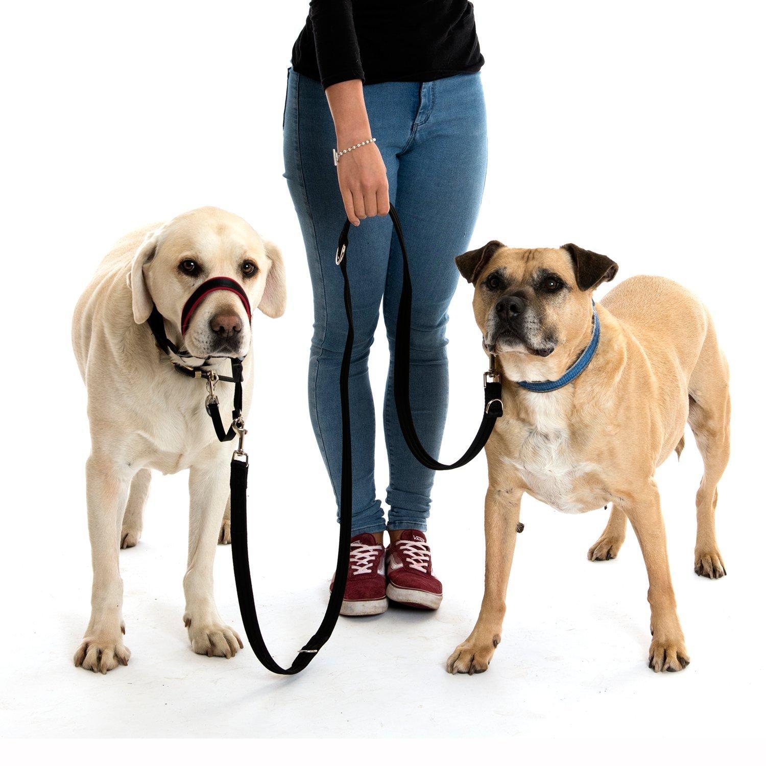 Halti Training Lead For Dogs for 2 dogs