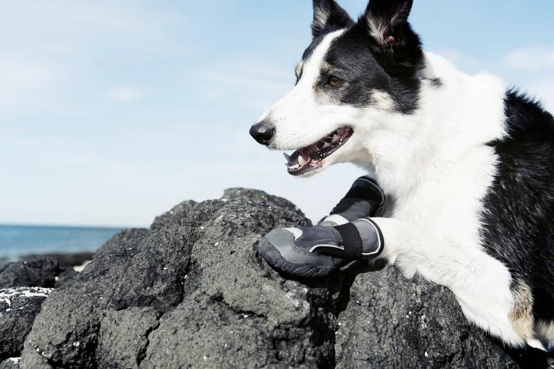 Hurtta Outback Dog Boots hiking