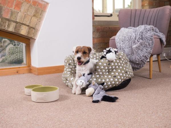 Petface Sleepy Sheep Dog Bed cozy warm bed with dog