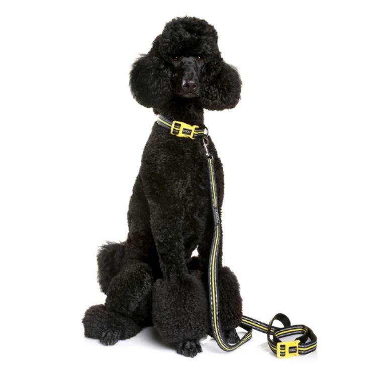 DOOG Neon Clip It Dog Leash - Black & Yellow