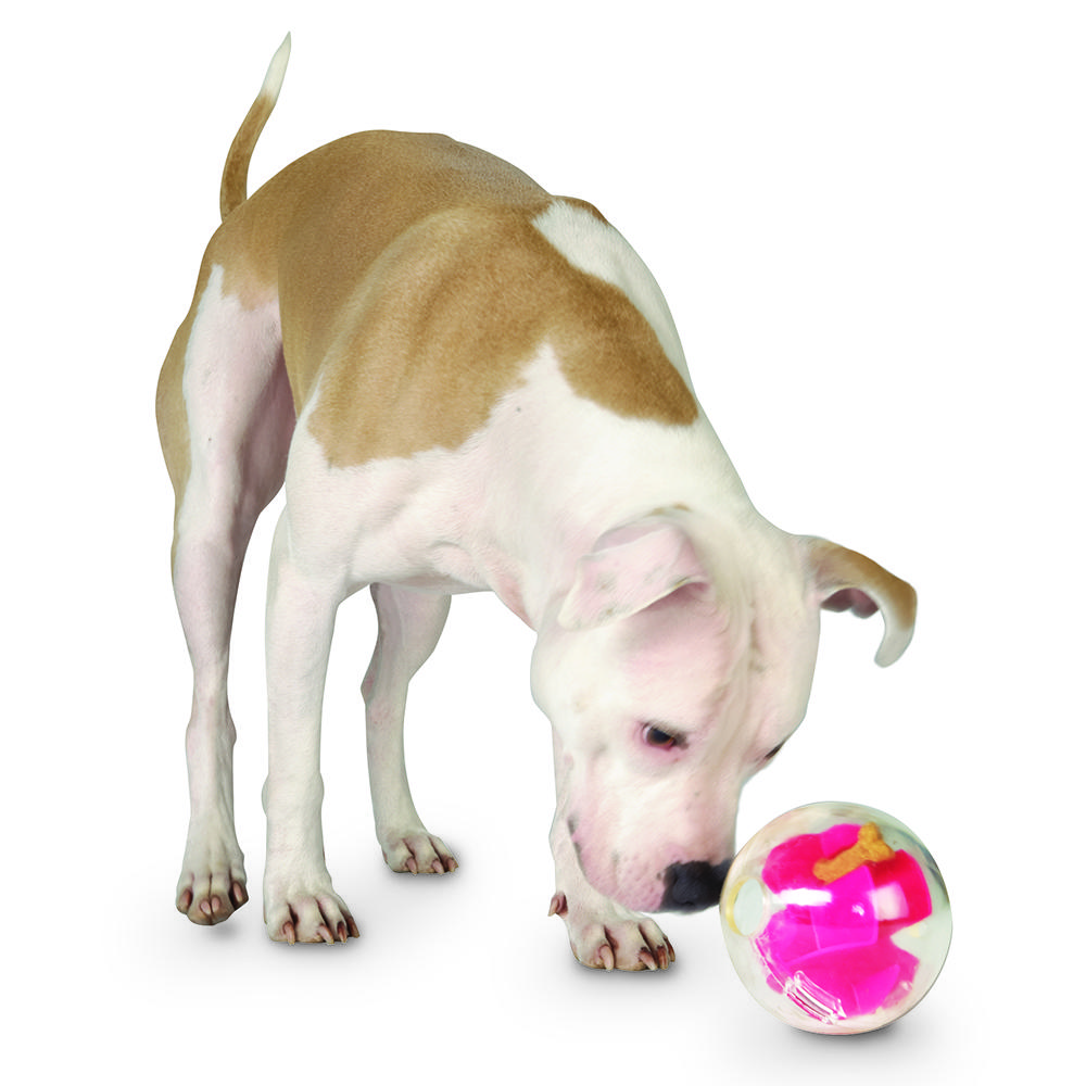 Planet Dog Orbee-Tuff Mazee interactive puzzle ball for dogs - Raspberry