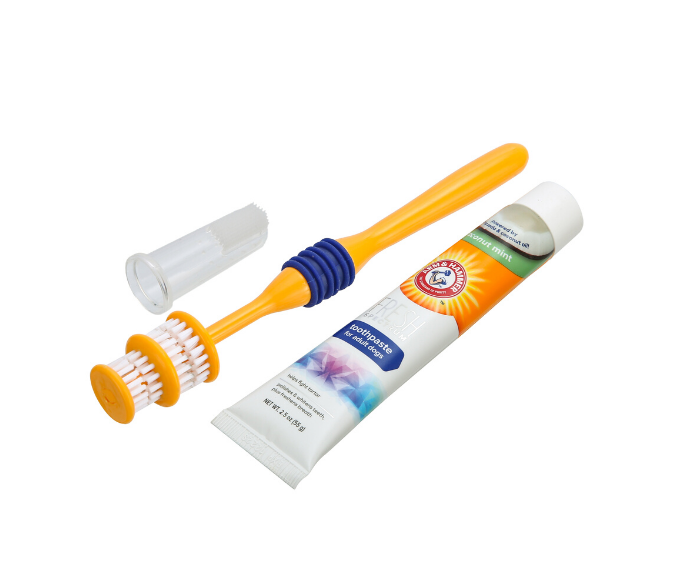 Arm & Hammer Dog Toothpaste and Brush Set