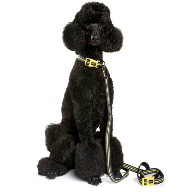 DOOG Neon Hi-Vis Dog Collars - Bolt Black & Yellow