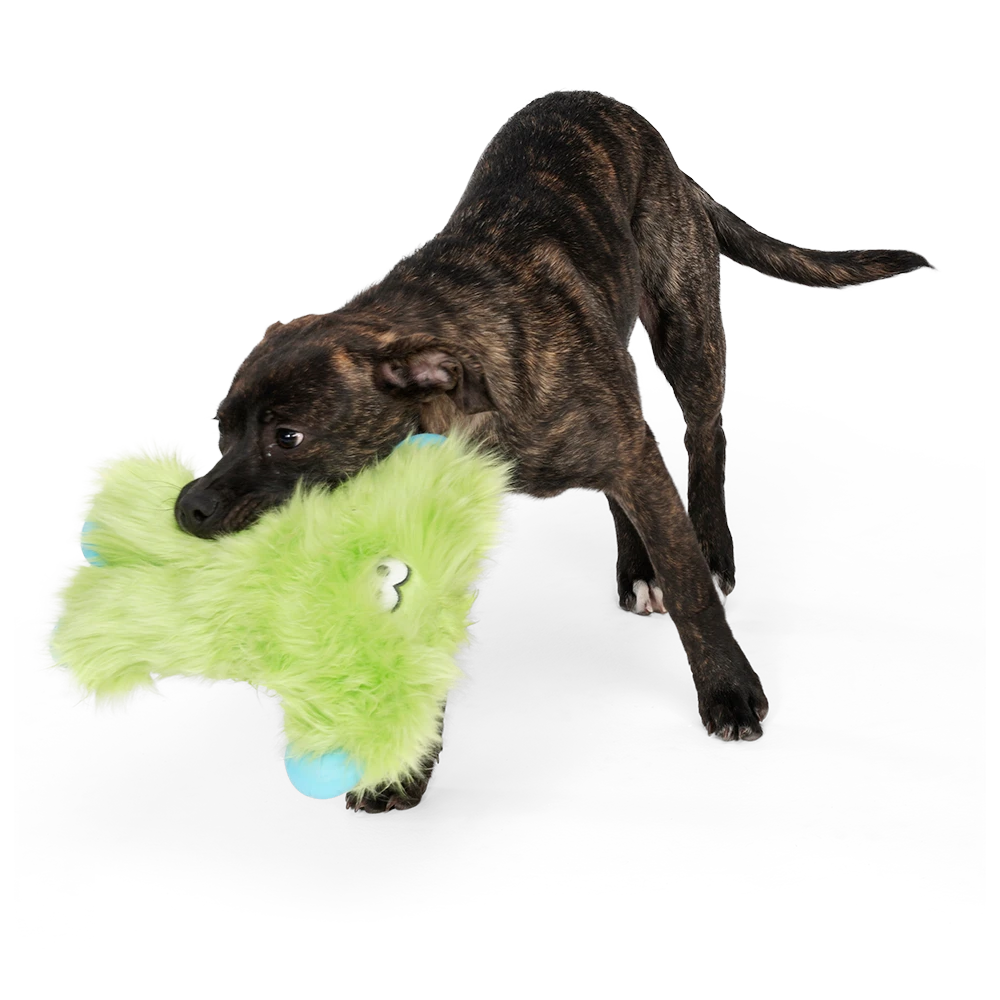 West Paw Rowdies Tough Soft Dog Toys