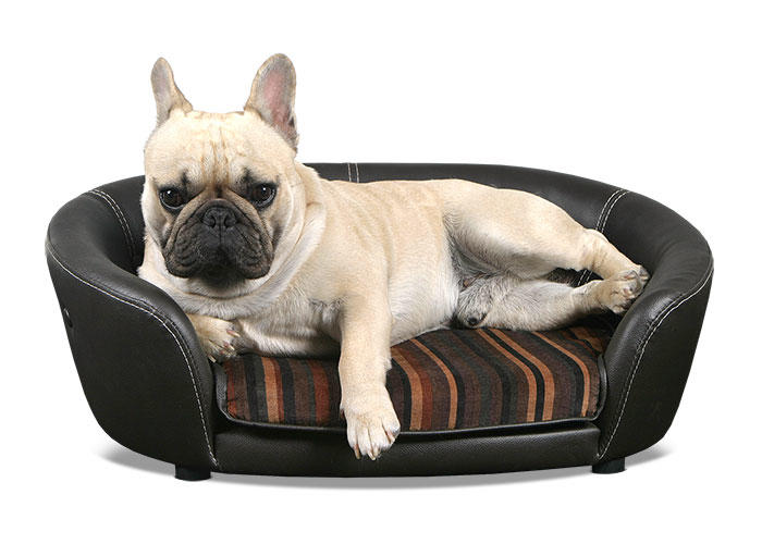 Scruffs Regent Handmade Faux Leather Pet Sofa Bed For Dogs