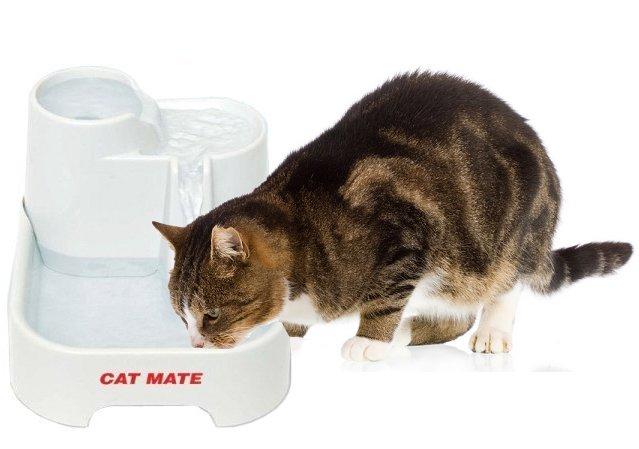 Petmate Cat Mate Pet Drinking Water Fountain