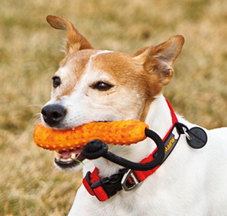 Ruffwear Gourdo Treat Dog Toy