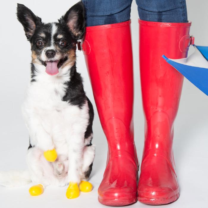 Pawz Rubber Dog Boots - Scale