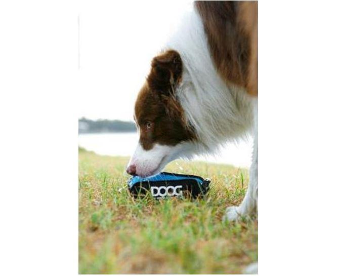 DOOG Foldable Bowl For Dogs