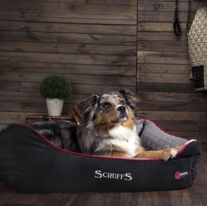 Scruffs Thermal Box Bed Self Heating Dog Bed