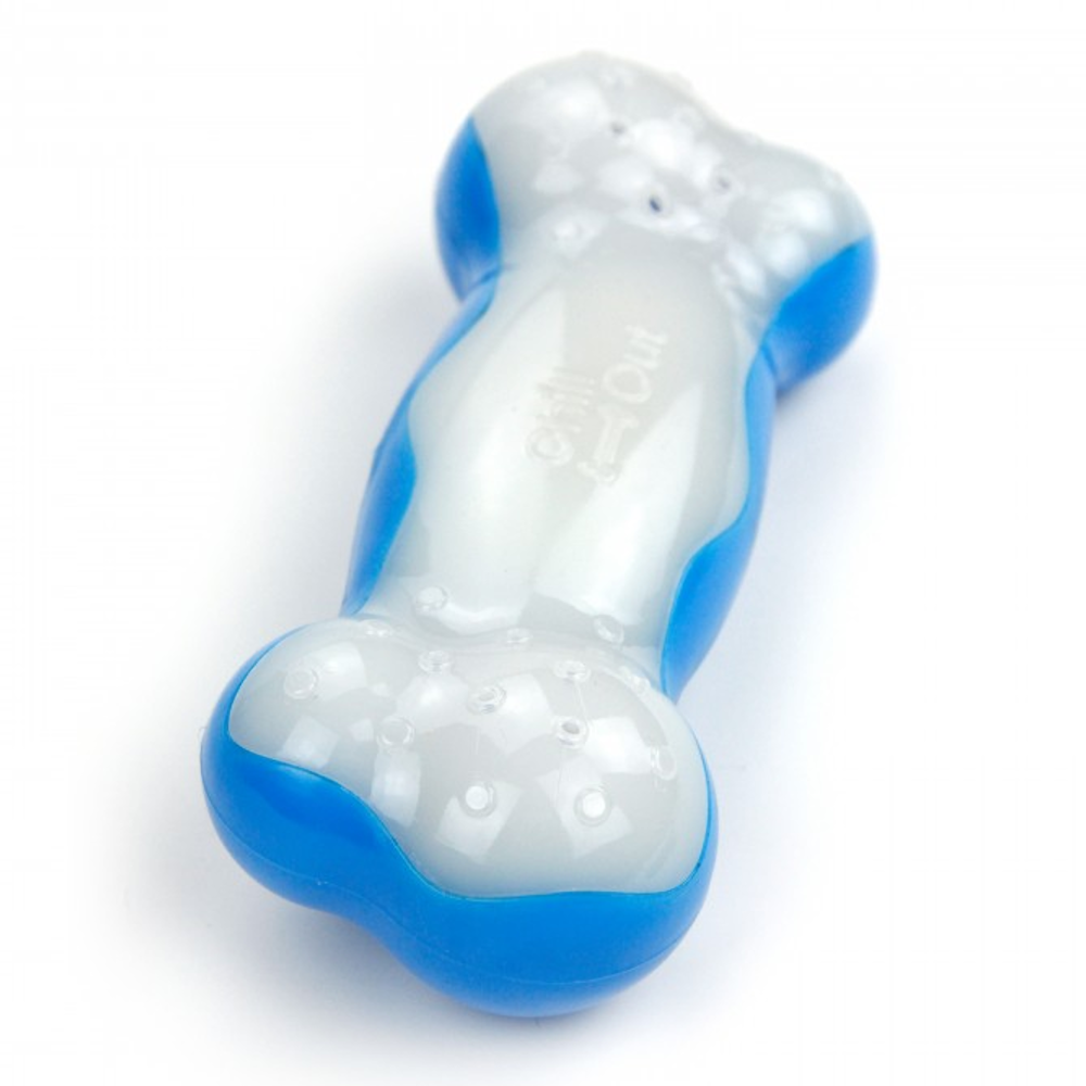 All For Paws chill out ice bone dog toy