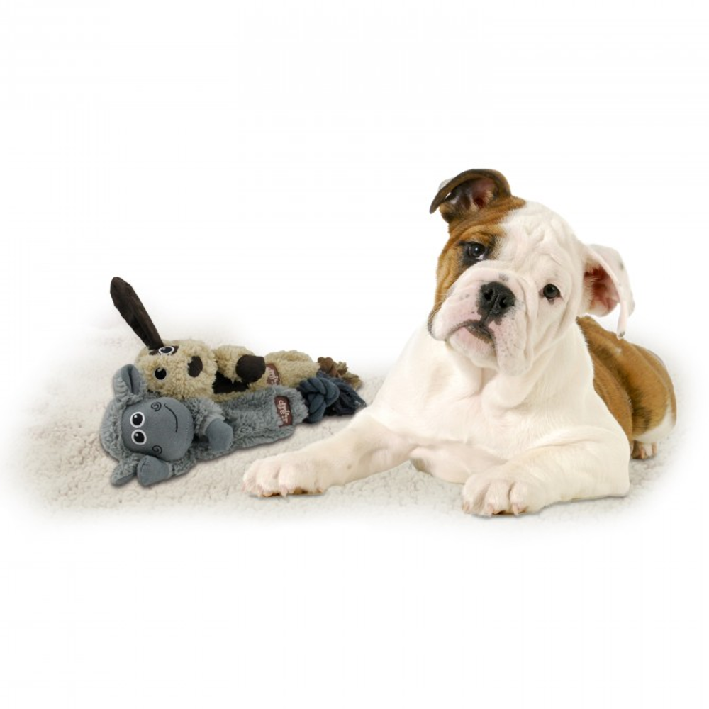 All For Paws Lamb Cuddle Rope Animals with Dog