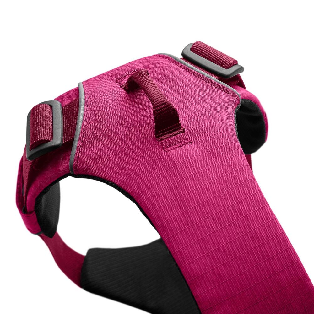 Ruffwear Front Range Harness For Dogs - Front Attachment Point