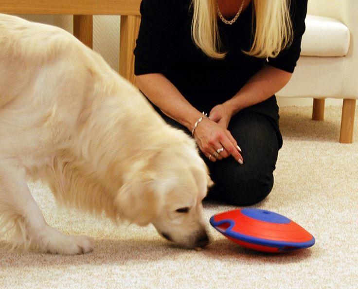 Nina Ottosson Dog Treat Maze interactive treat toy
