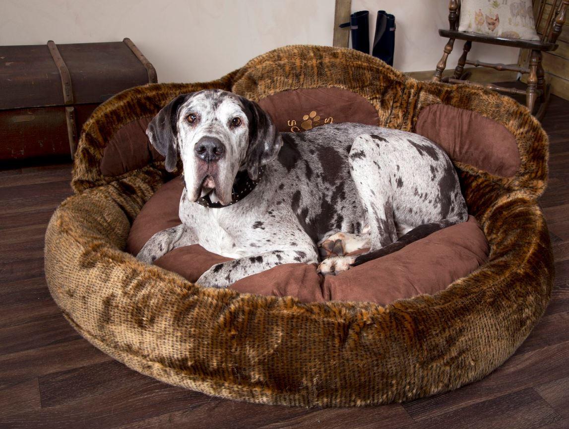 Scruffs Grizzly Bear Dog Bed For Giant Breeds
