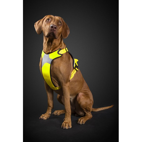 Hurtta Lifeguard Dazzle Dog Harness Yellow