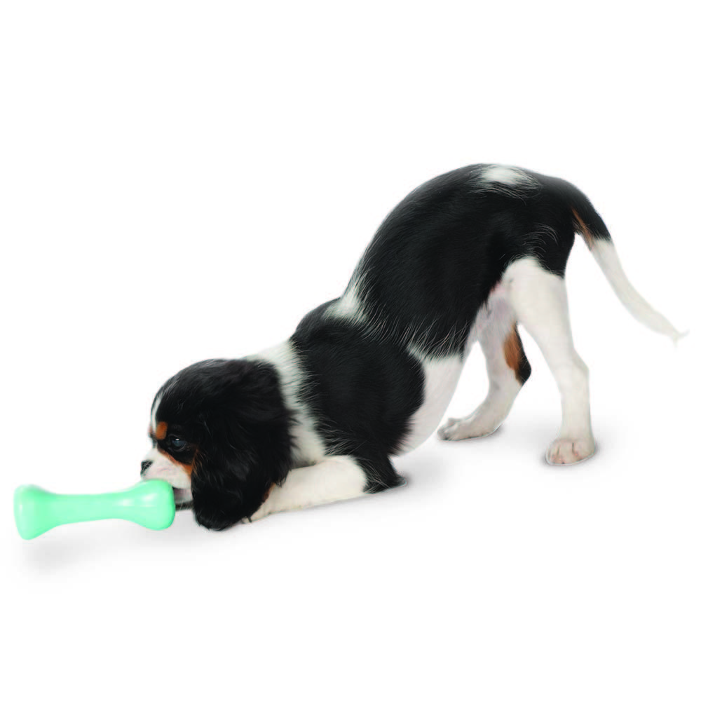 Planet Dog Orbee-Tuff Pup Bone Tough Puppy TeethingToys