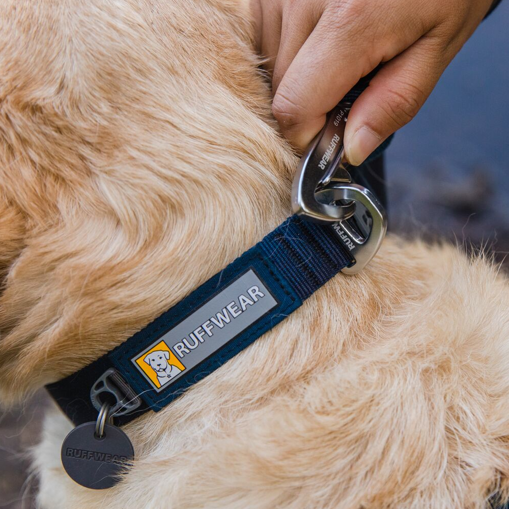 Ruffwear Front Range Dog Collar - Close Up