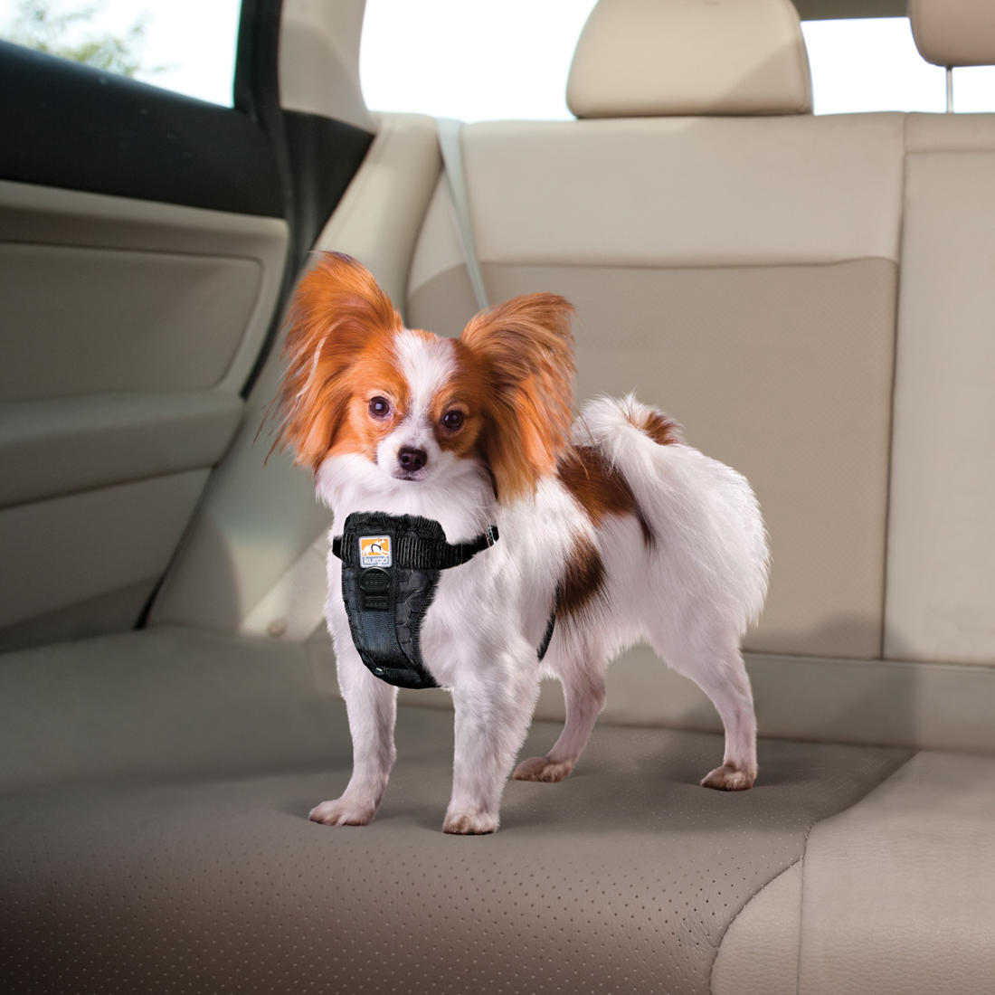 Kurgo Enhanced Strength Tru-Fit Car Harness For Dogs