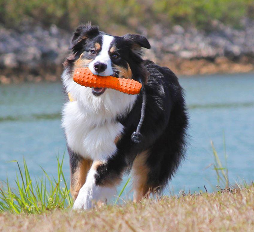 Ruffwear Gourdo Fetch Dog Toy