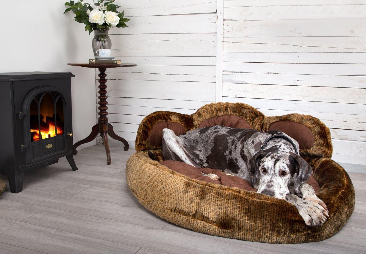 Scruffs Grizzly Bear Large Dog Bed