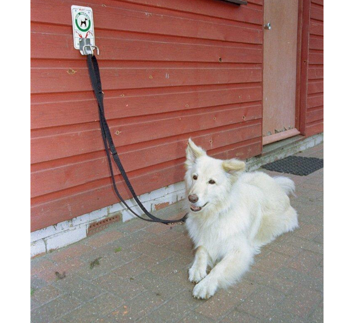 Halti Training Lead For Dogs tethered