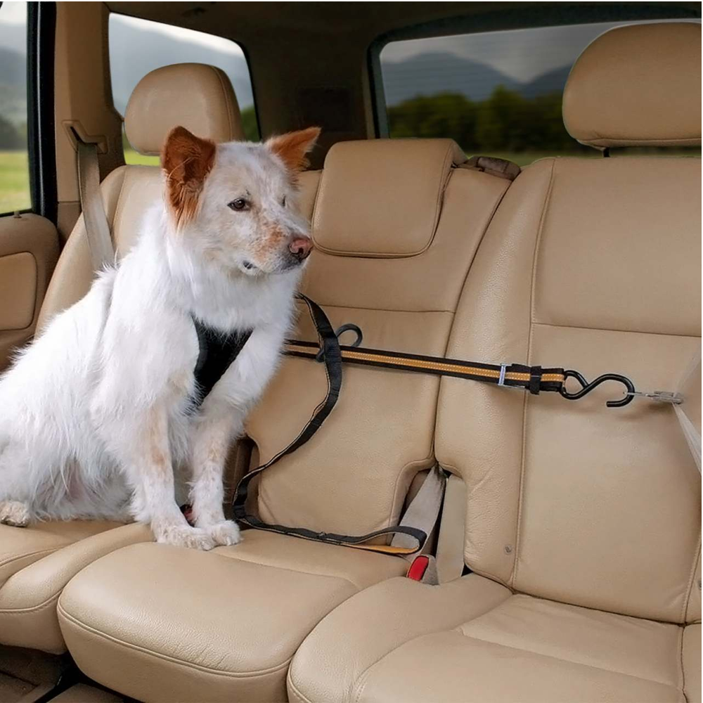 Kurgo Auto Zip Line Car Restraint For Dogs
