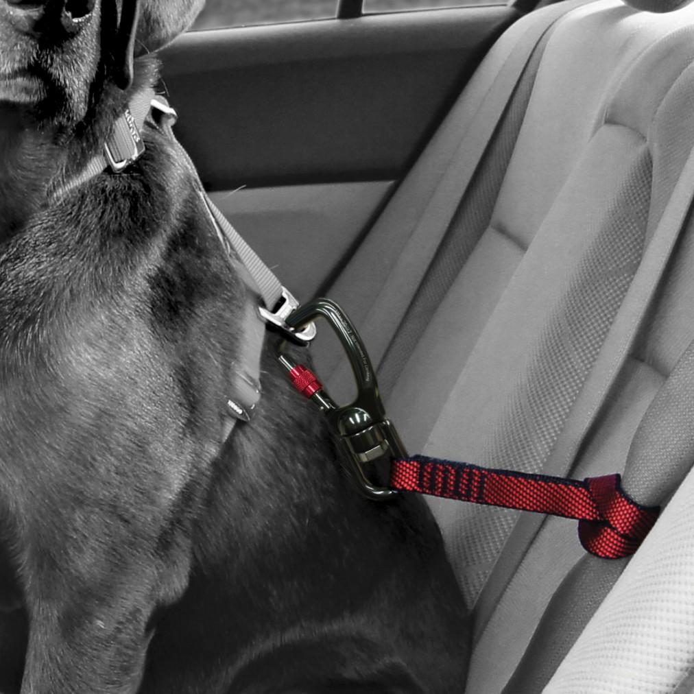 Kirgo swivel seatbelt tether - close up