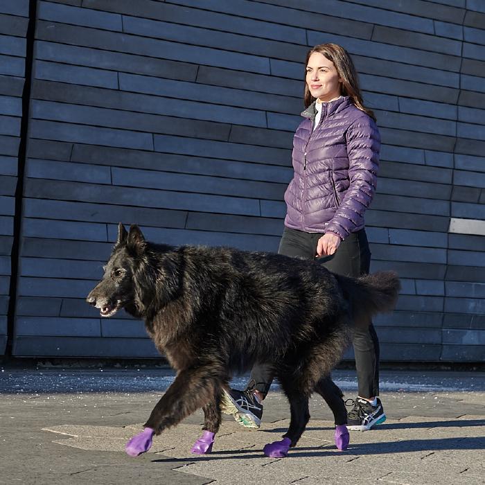 Pawz Rubber Dog Boots - Large Purple