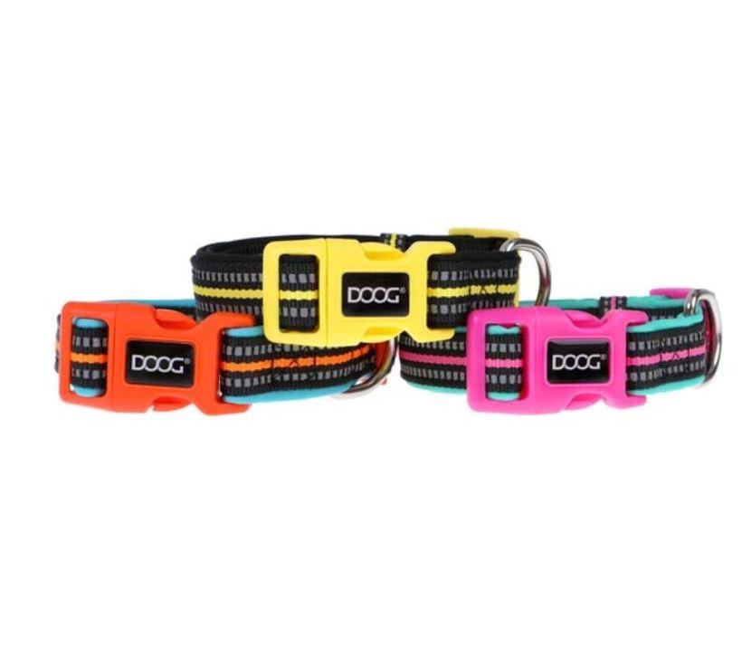 DOOG Neon Hi-Vis Dog Collars - Colours