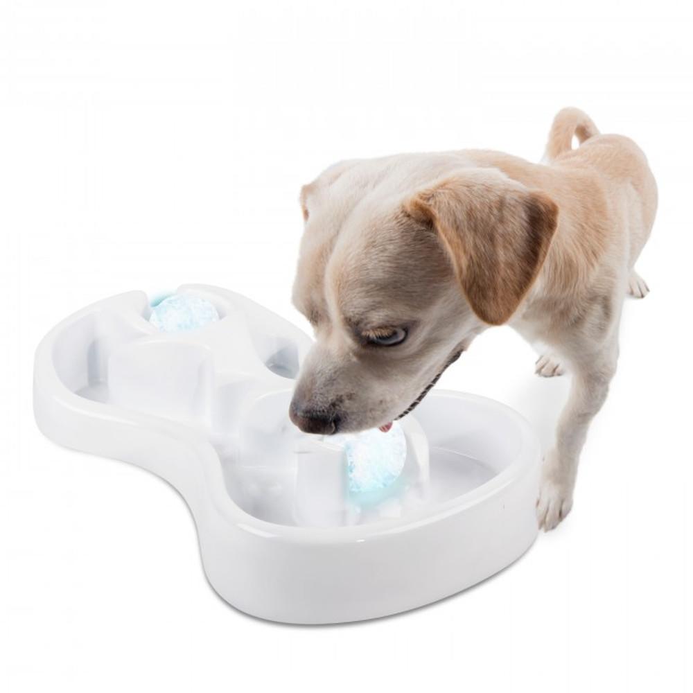 All For Paws Chill Out Ice Track and Thirst Cruncher Dog Toy