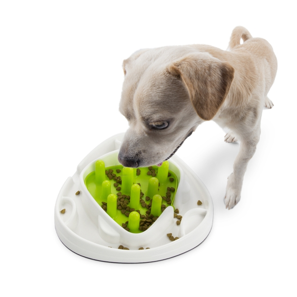 All For Paws Interactives Food Maze Bowl For Dogs