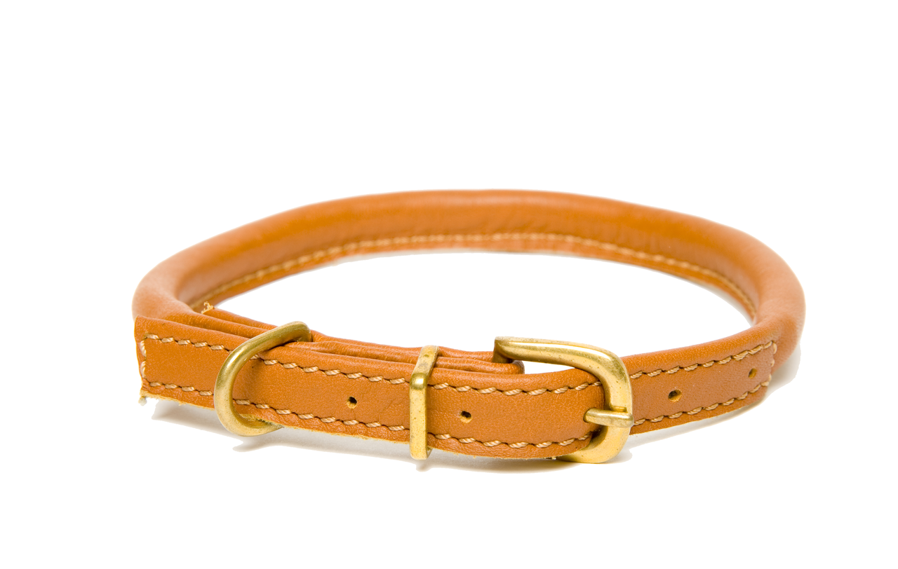 D&H Classic Rolled Leather dog collar in Tan
