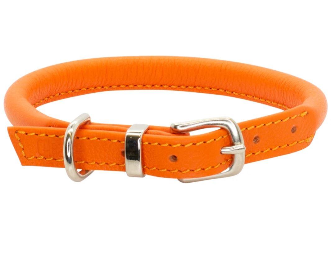 D&H Contemporary Rolled Leather Dog Collar orange