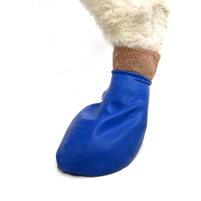 Pawz Rubber Dog Boots - Blue