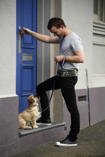 DOOG Walkie Belt For Dog Walking returning home