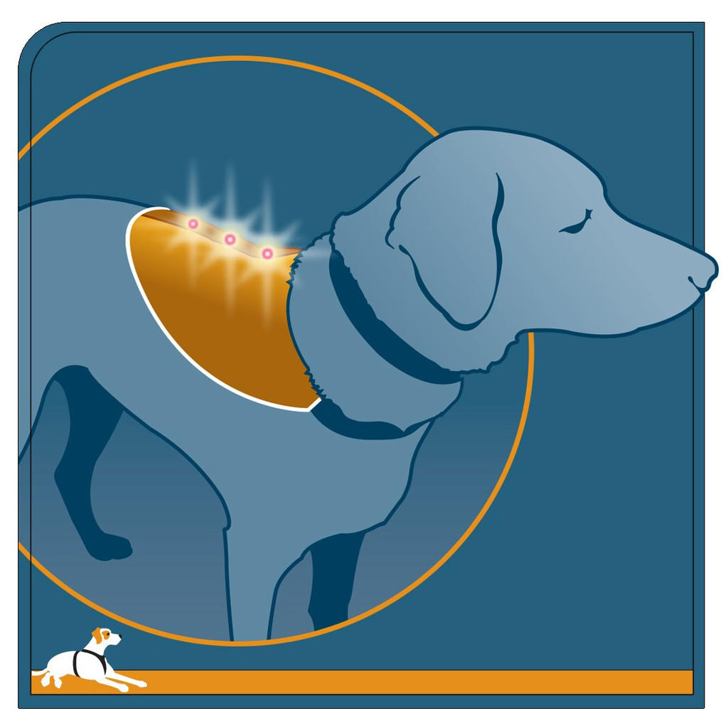 Kurgo Reflect and Protect bandana for dogs with LED lights