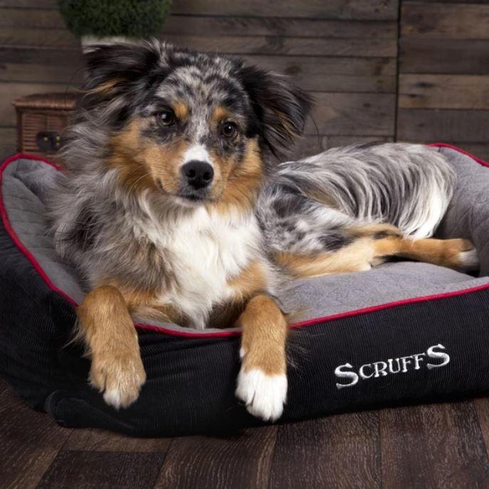 Scruffs Thermal Box Dog Bed