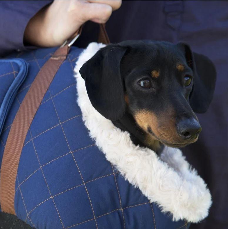Scruffs Wilton Pet Carrier For Dogs Blue Detail