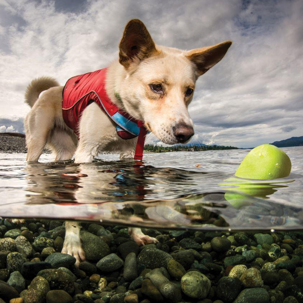 Kurgo Skipping Stones Floating Dog Toy