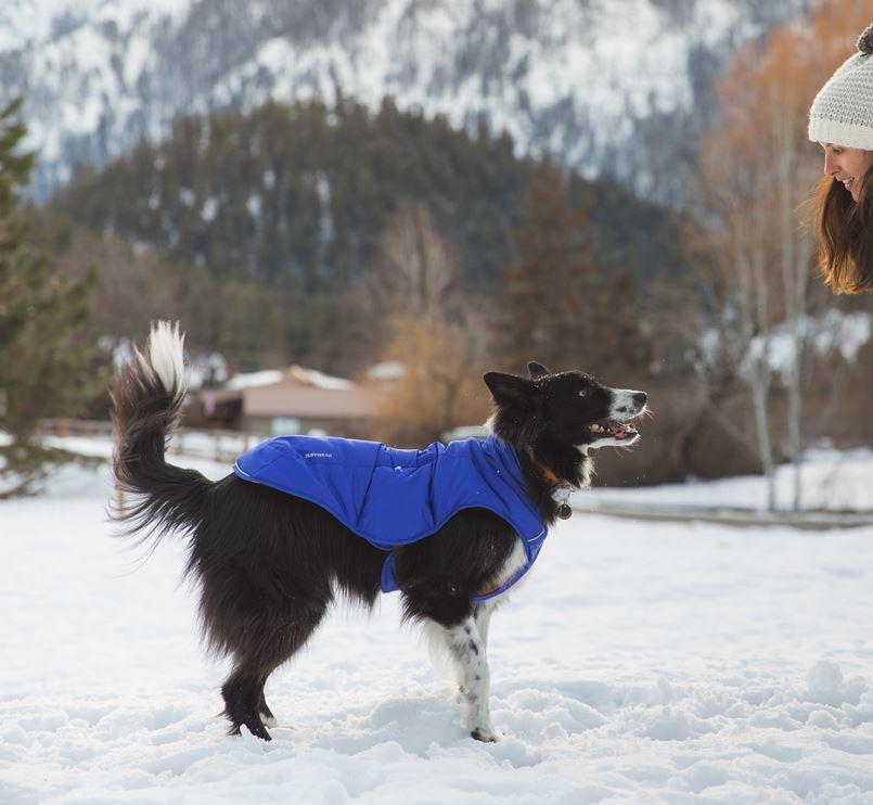 Ruffwear Quinzee Padded Jacket for Dogs