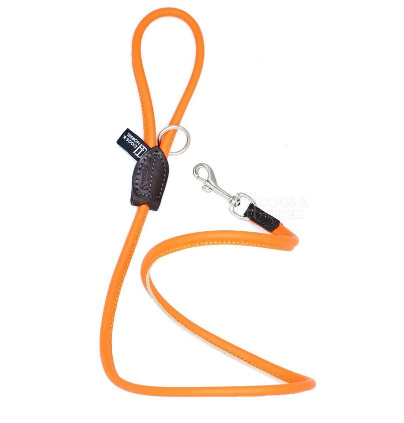 D&H Contemporary Colours Rolled Leather Luxuray Dog Lead Orange