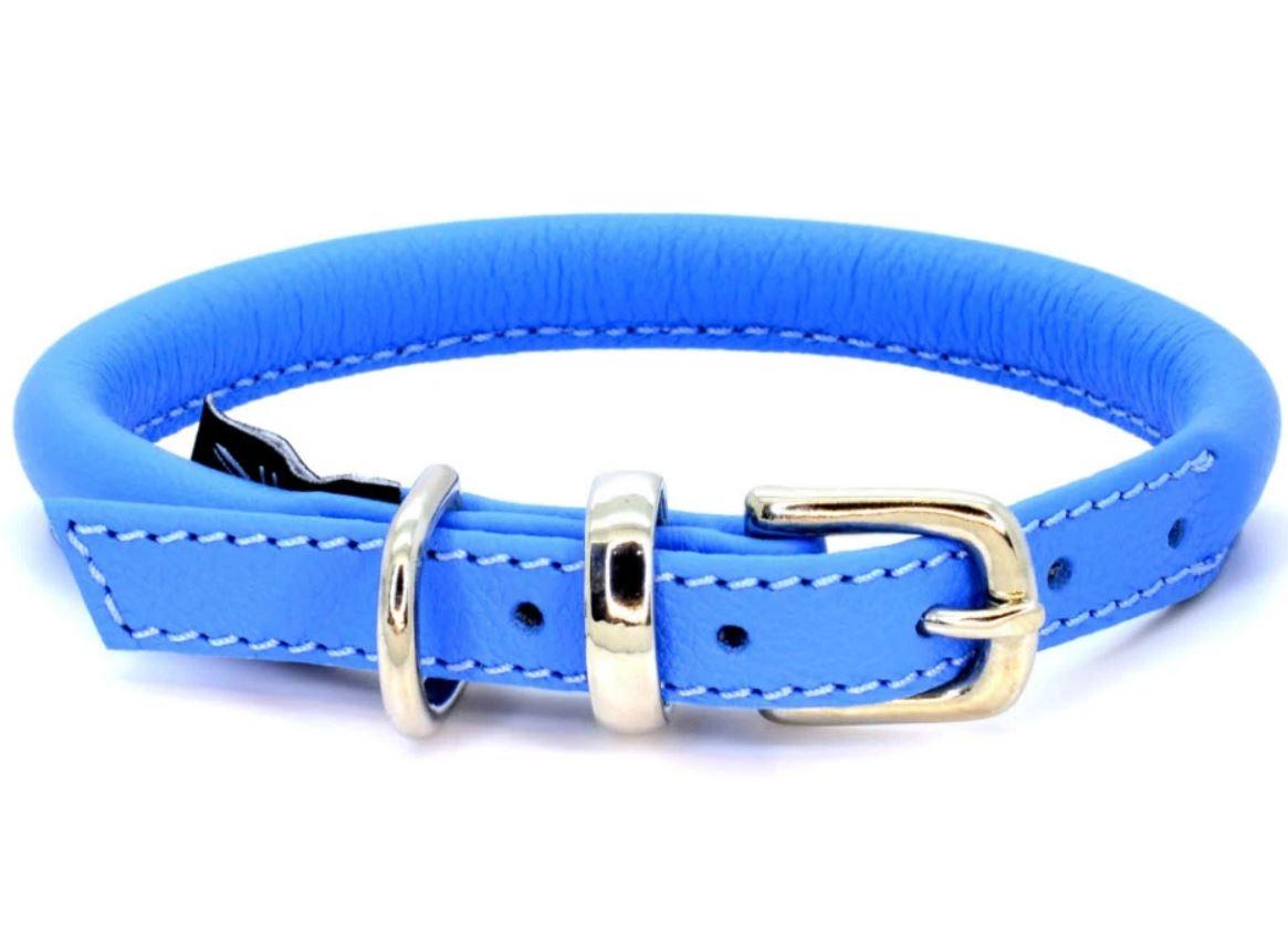 D&H Contemporary Rolled Leather Dog Collar blue