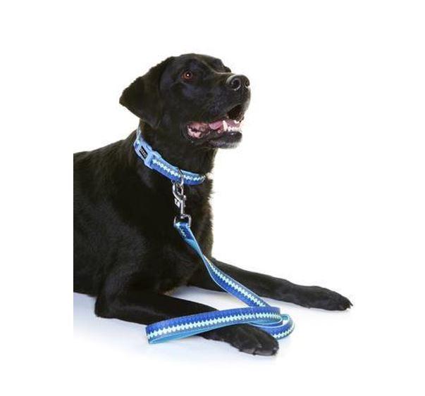 DOOG dog leash - pluto with dog