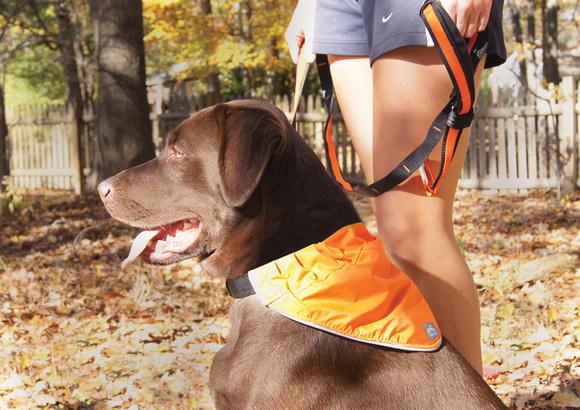 Kurgo Reflect and Protect reflective dog bandana