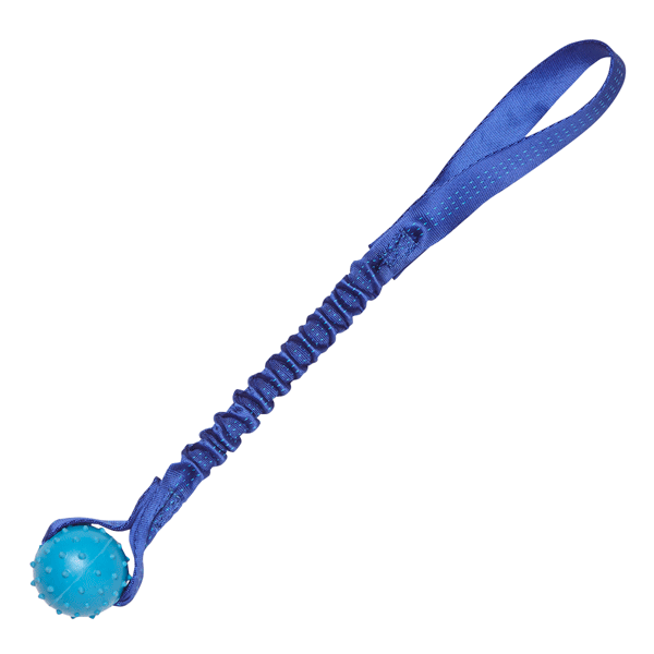 Tug-E-Nuff Pimple Ball on Bungee Tug for Dogs Blue