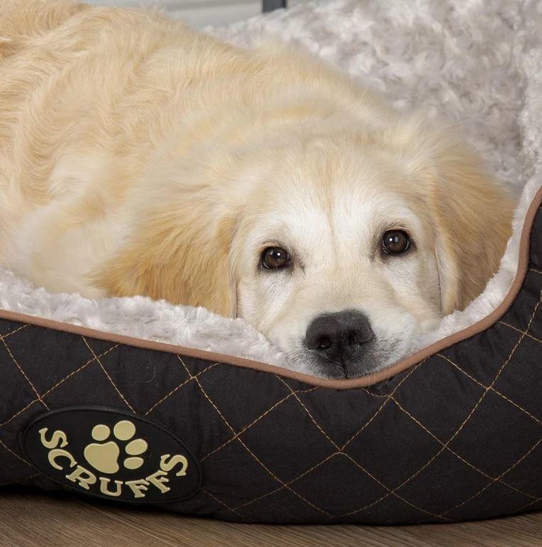 Scruffs Wilton Box Bed For Dogs Black